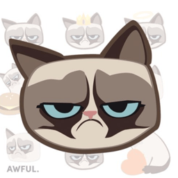Grumpy Cat